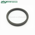 Alta resistencia química bronce PTFE Rod Seal para cilindro hidráulico